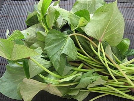 Thực phẩm mẹ cần bổ sung để tăng sữa cho bé