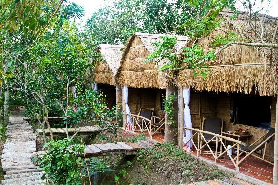 Về Cần Thơ thử món cá rô mề kho tộ the shacks - Về Cần Thơ thử món cá rô mề kho tộ