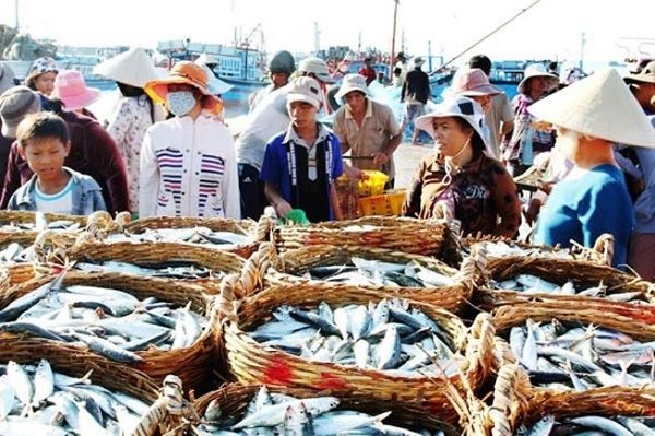 Cho hai san Mui Ne 1 600x399 - Chợ hải sản Mũi Né – Thế giới thu nhỏ của đáy đại dương