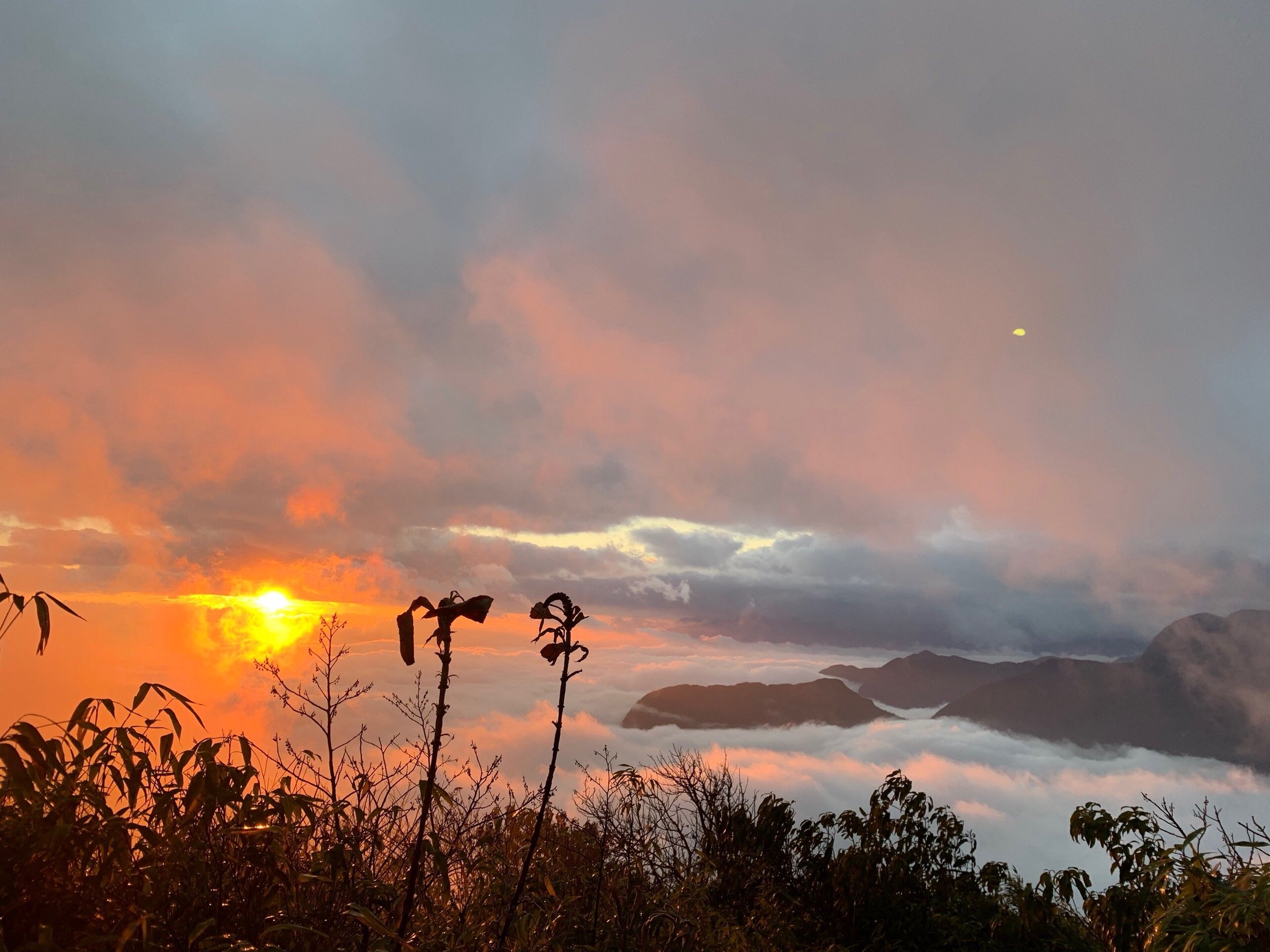 nhiu co san lao cai - Top 10 địa điểm săn mây Tây Bắc lý tưởng nhất