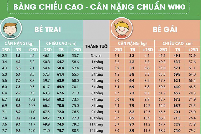 Bảng chiều cao cân nặng chuẩn của trẻ sơ sinh WHO