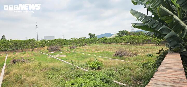 Quảng Ninh: 317 hồ sơ chuyển từ đất nông nghiệp sang đất ở, phường giải trình thế nào?